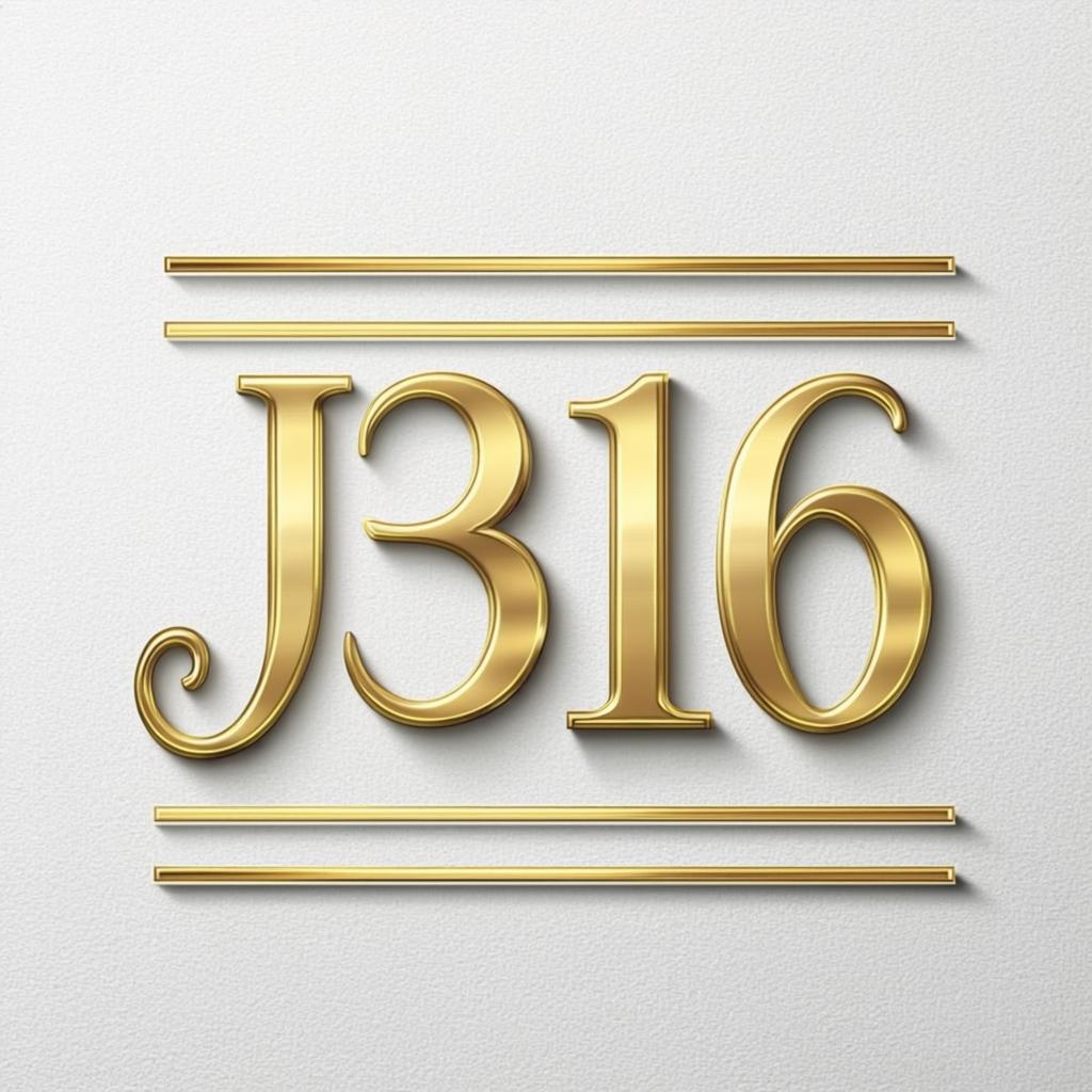 J316 Logo